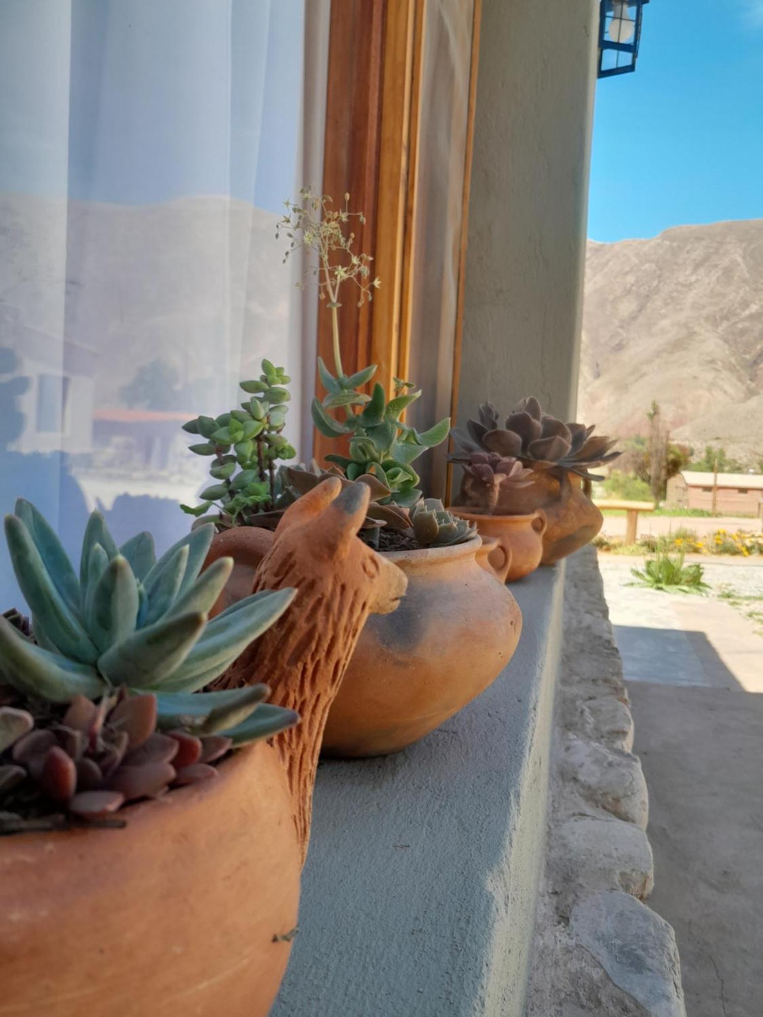 Tierra Primitiva Διαμέρισμα Tilcara Εξωτερικό φωτογραφία