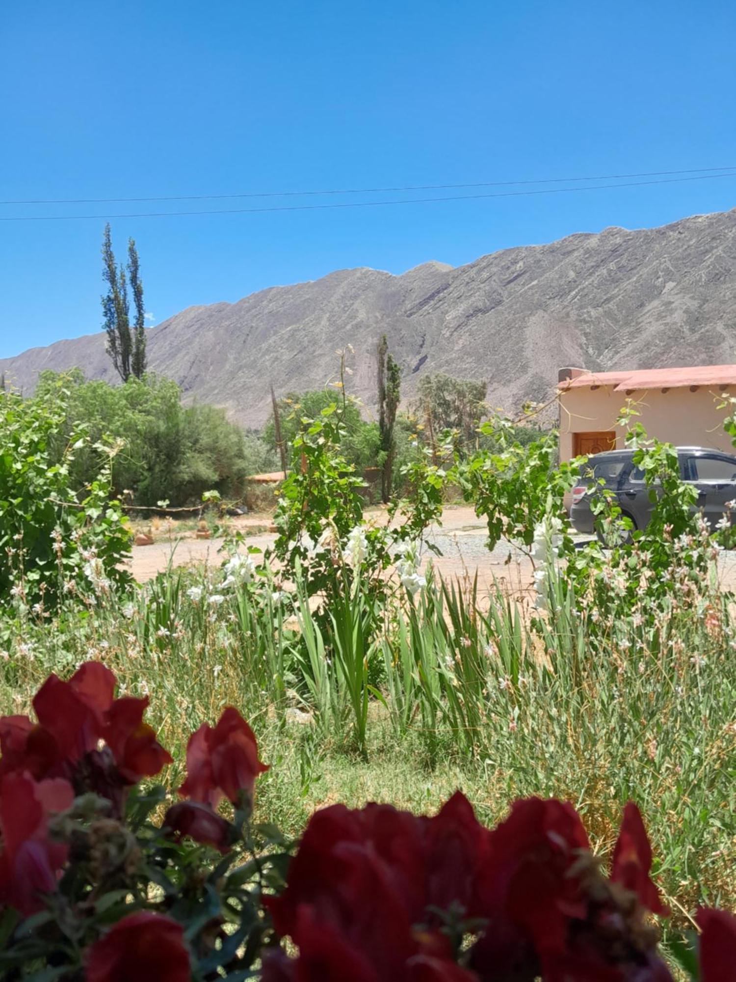 Tierra Primitiva Διαμέρισμα Tilcara Εξωτερικό φωτογραφία